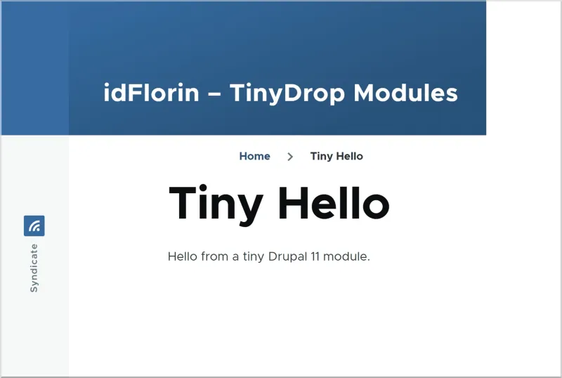 Minimal Drupal 11 Module