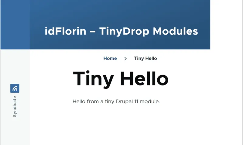Minimal Drupal 11 Module
